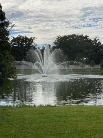 $2,300 | 3250 Pleasant Willow Court, Brandon, FL 33511