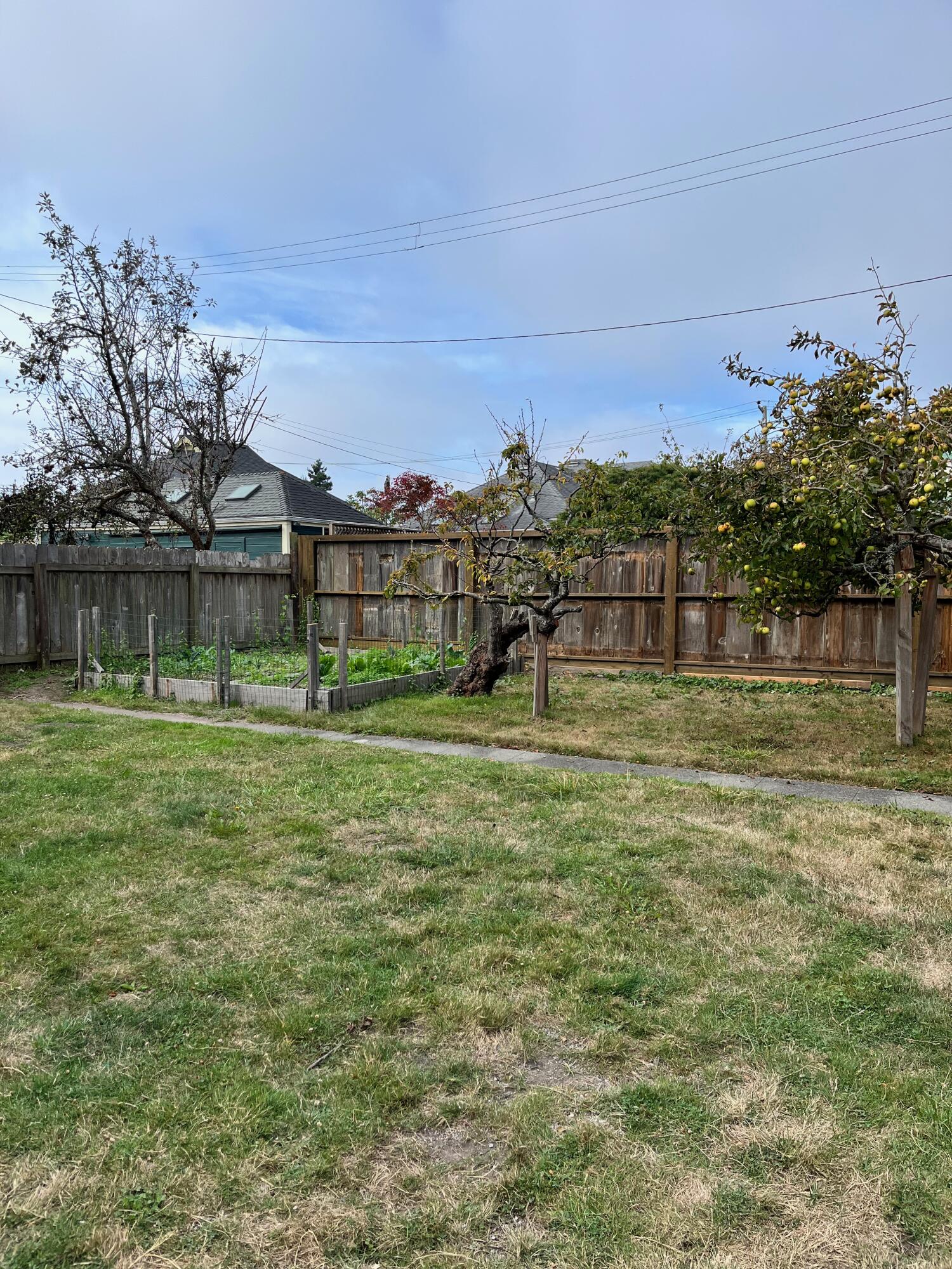 589 G Street Arcata, CA 95521 - Photo 49 of 53 Gallery Image 49