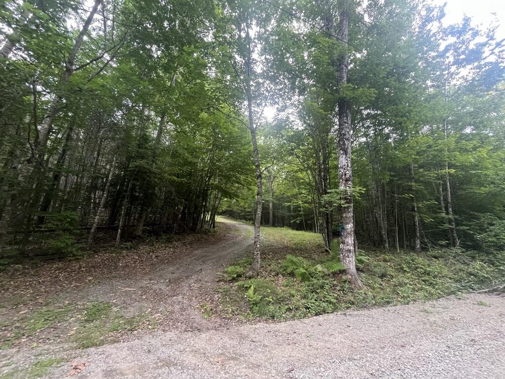 307 Spruce Pond Road Bingham, ME 04920 - Photo 6 of 6 IMG_7243