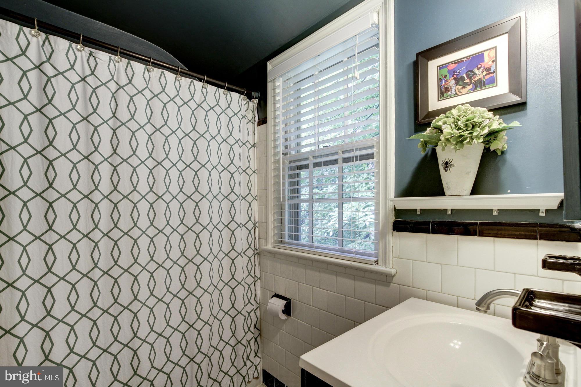 9917 Big Rock Road Silver Spring, MD 20901 - Photo 16 of 24 a bathroom with a sink and a mirror