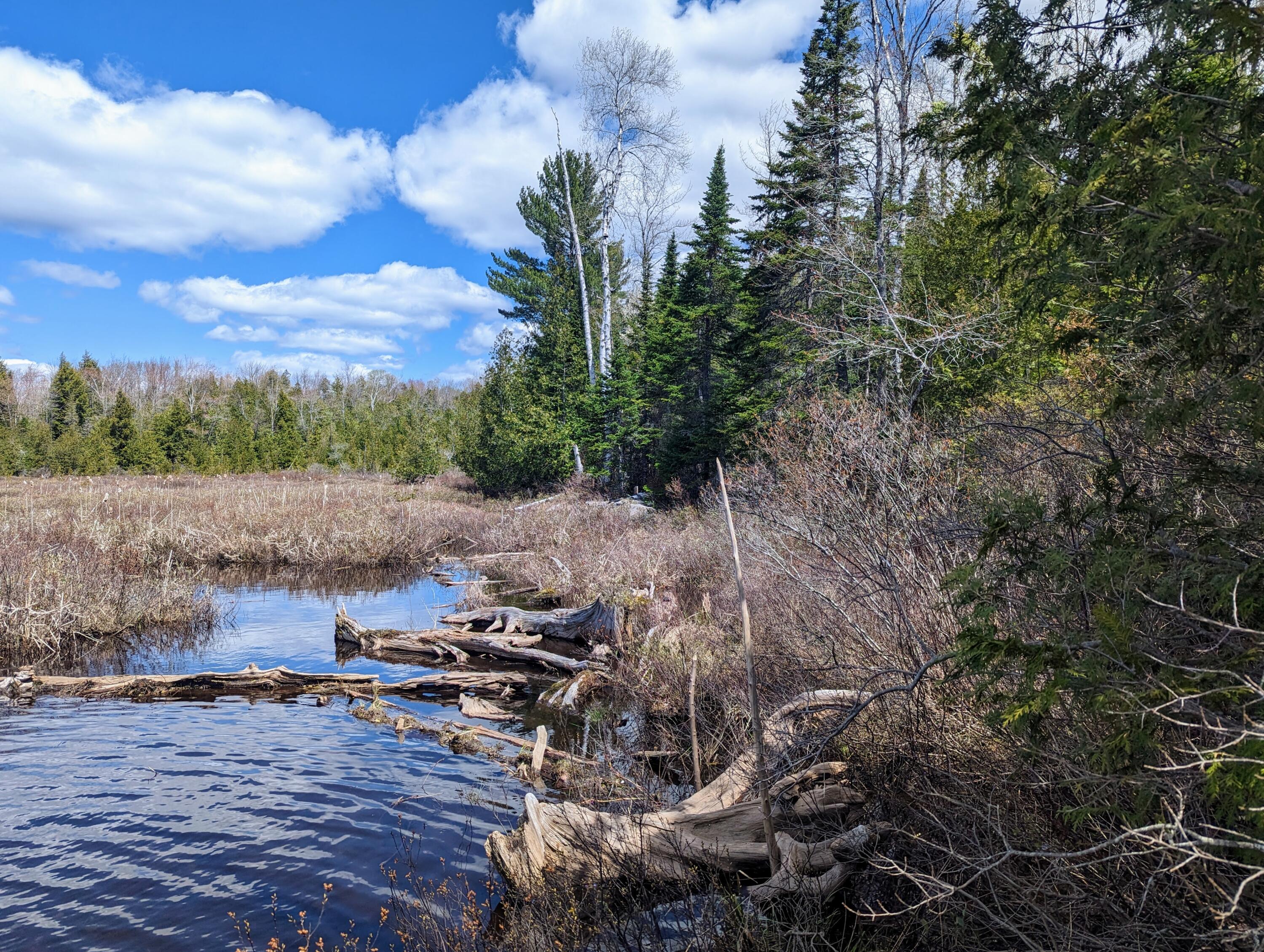 184-2 Wheaton Road Dover-Foxcroft, ME 04426 - Photo 31 of 47 PXL_20230509_164514412