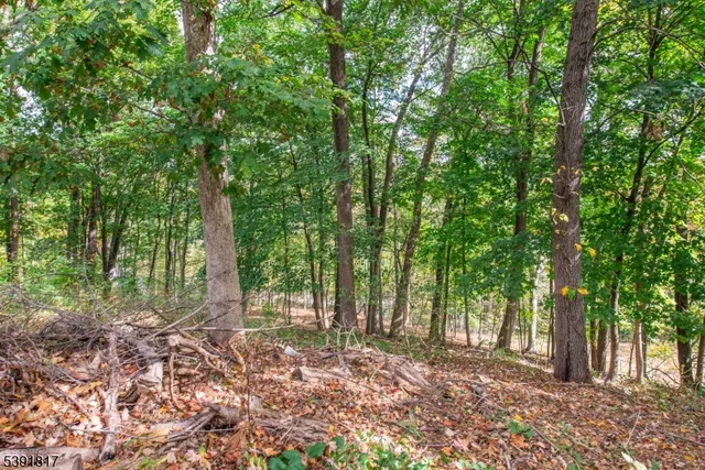 $899,999 | 951 North Beverwyck Road, Lake Hiawatha, NJ 07034