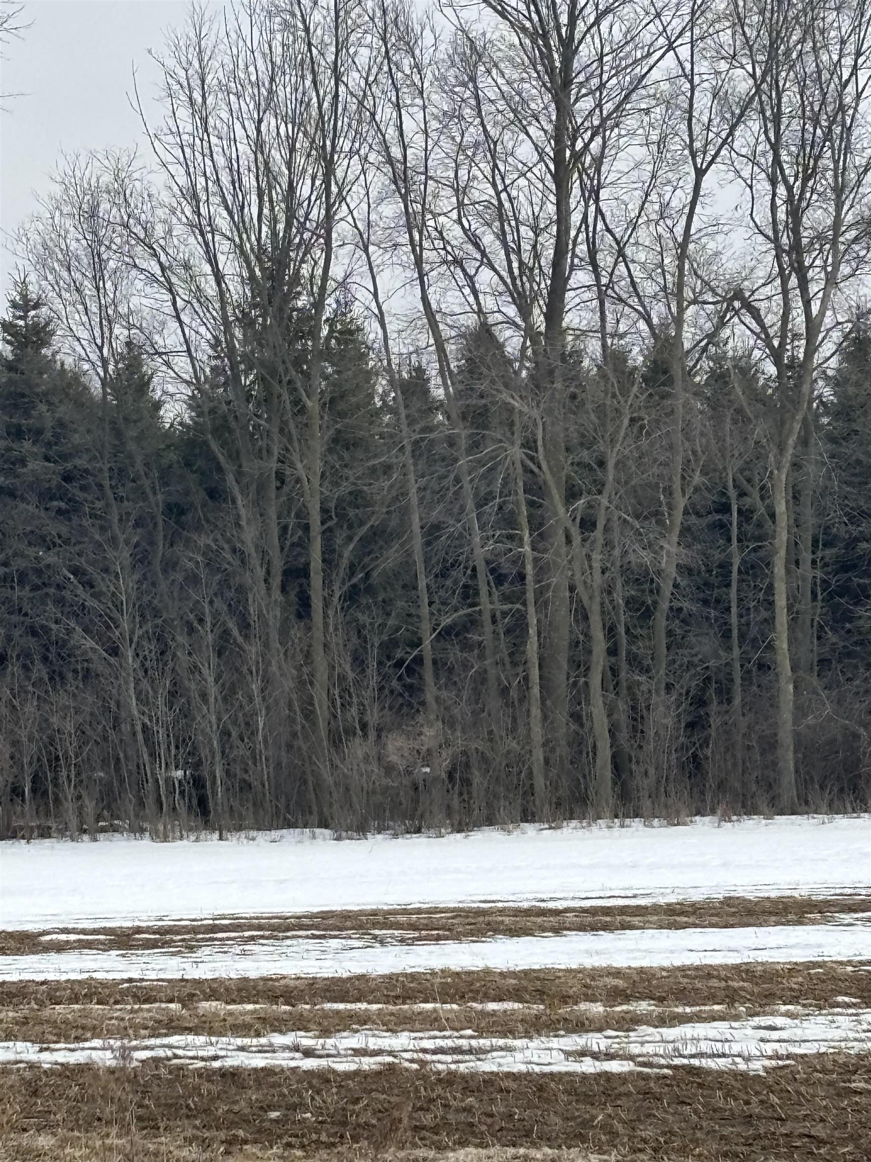 0 Pine Ridge Drive, Unit LOT: 28 Mount Pleasant, MI 48858 - Photo 4 of 7