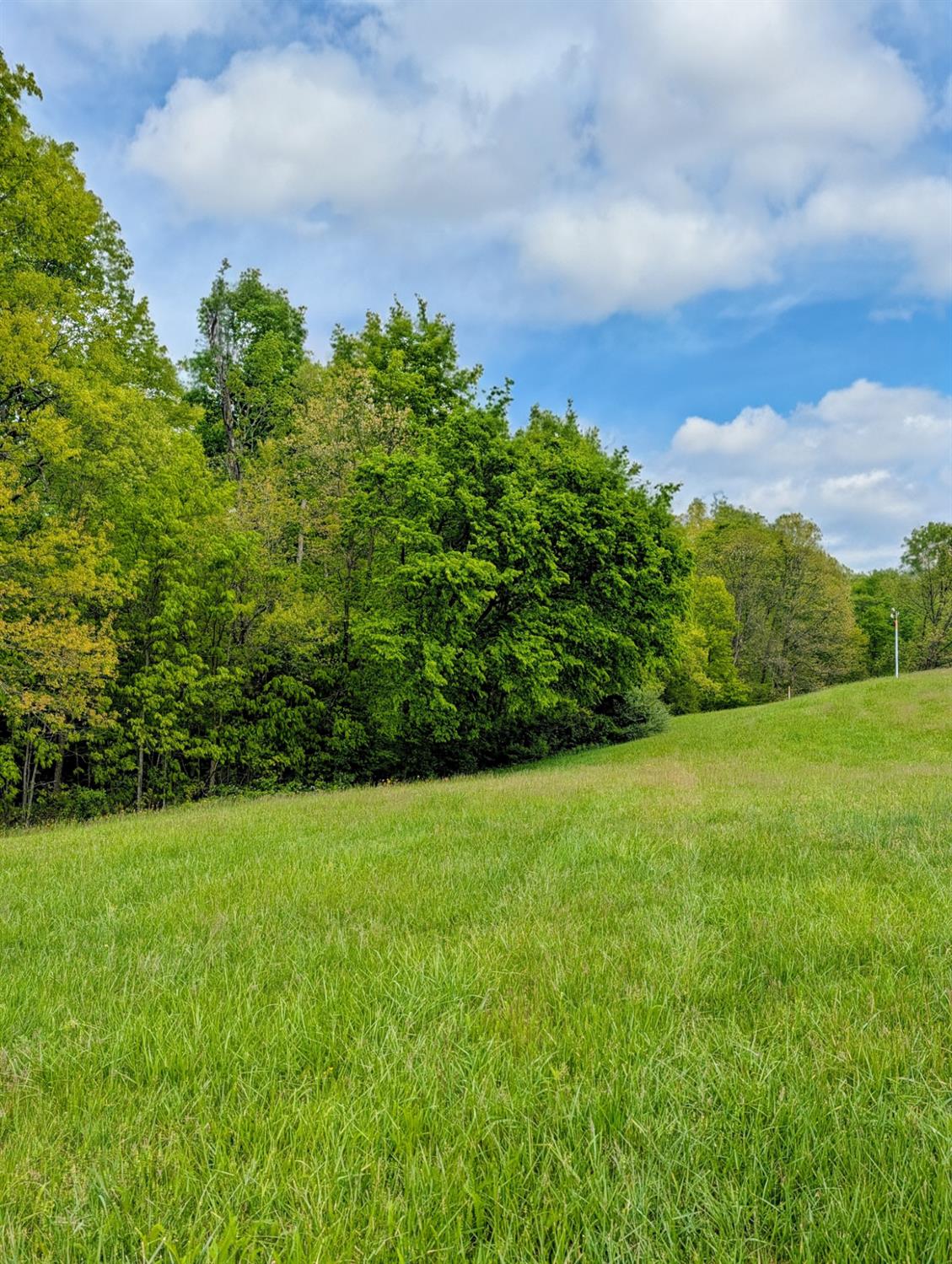 0 Longbranch Road Moores Hill, IN 47032 - Photo 17 of 25