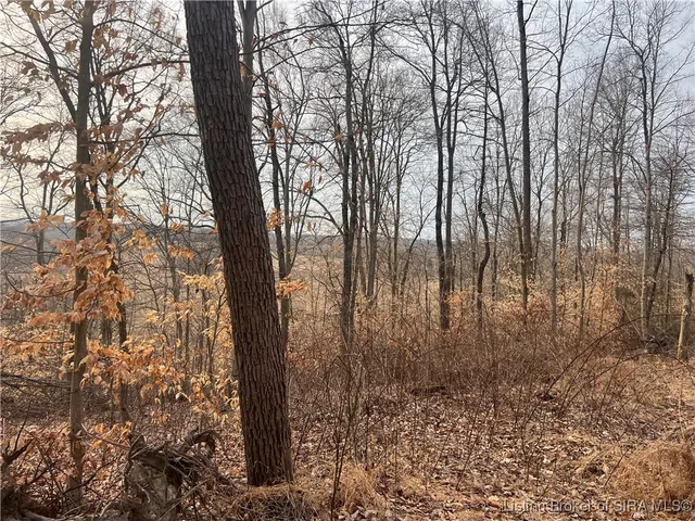 $160,000 | 0 Hwy 135, Unit TRACT 2, New Salisbury, IN 47161