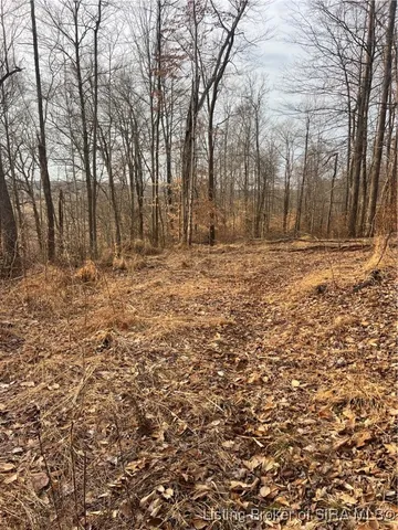 $160,000 | 0 Hwy 135, Unit TRACT 2, New Salisbury, IN 47161