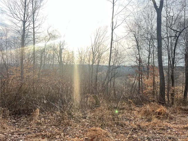 $160,000 | 0 Hwy 135, Unit TRACT 2, New Salisbury, IN 47161