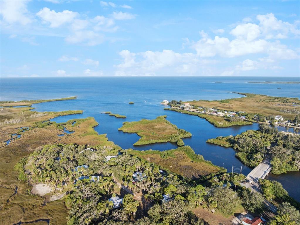 18730 Rosemary Road Aripeka, FL 34679 - Photo 23 of 35