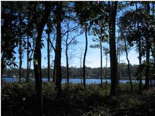 0 George Ellis Point Road Freeport, FL 32439 - Photo 2 of 4 Gallery Image 2