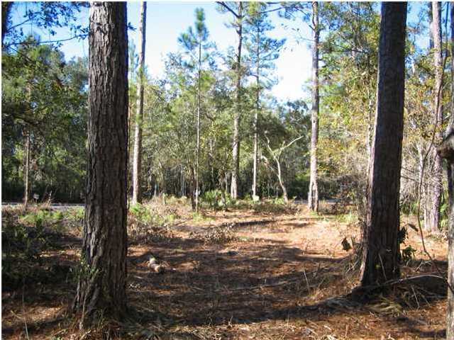 0 George Ellis Point Road Freeport, FL 32439 - Photo 3 of 4 Gallery Image 3