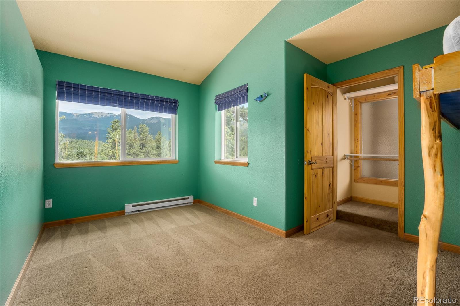 340 Buffum Street Bailey, CO 80421 - Photo 21 of 40
