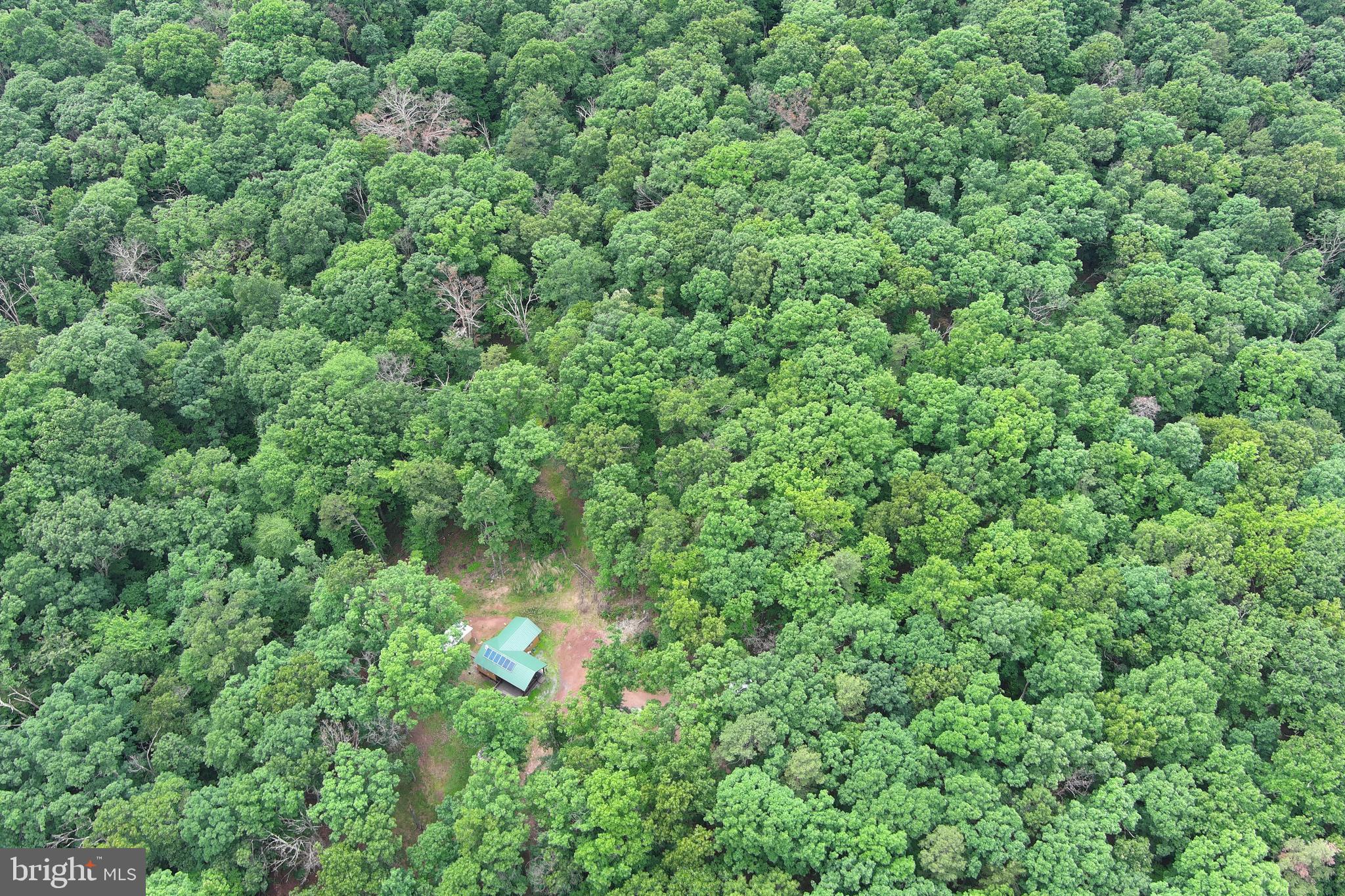 1419 Paul's Woods Road Delray, WV 26714 - Photo 98 of 105