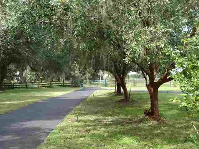 2591 Old Lloyd Road Monticello, FL 32344 - Photo 24 of 26 Gallery Image 24