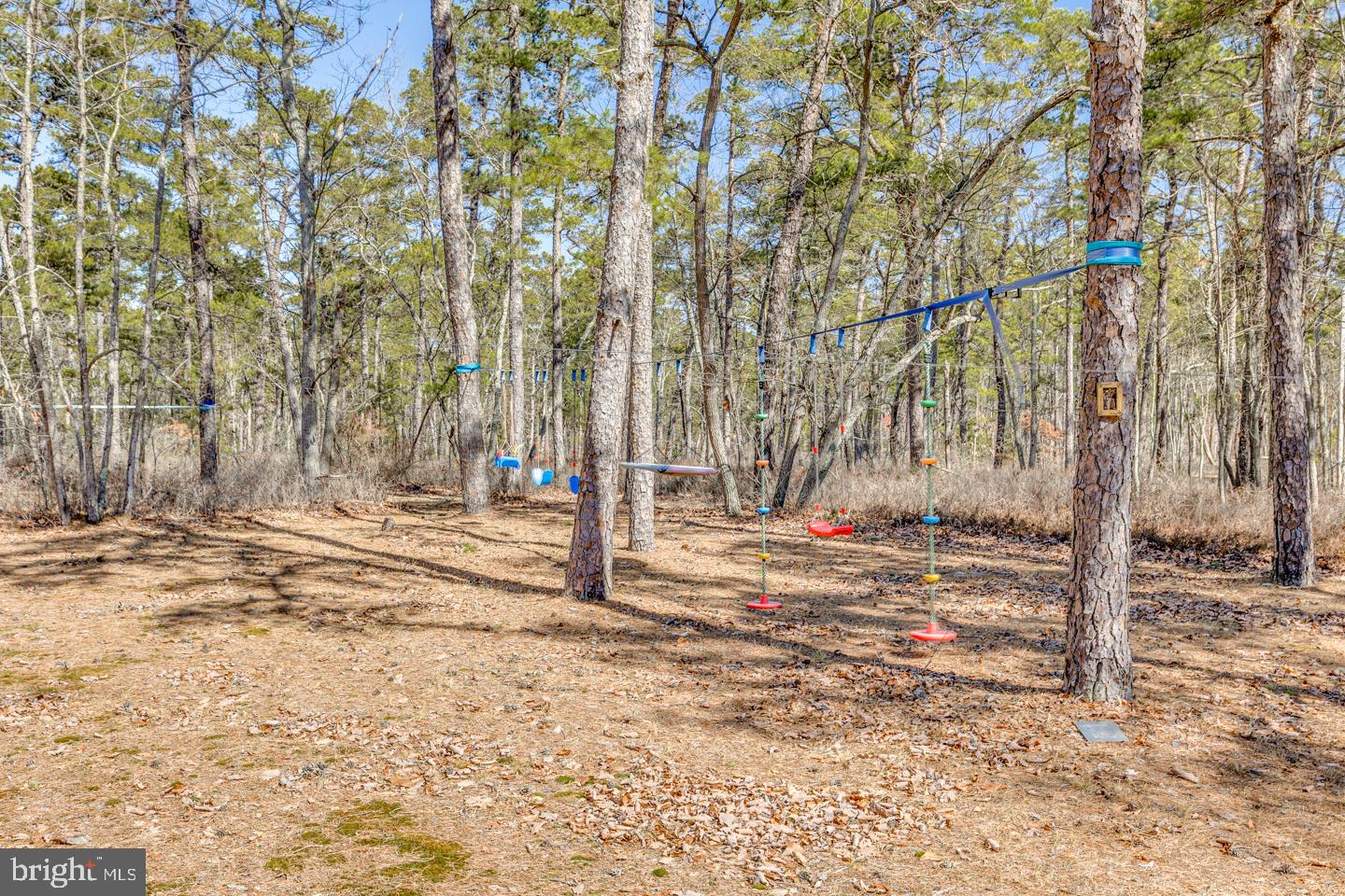 2100 South Firelane Road Southampton, NJ 08088 - Photo 14 of 75 There's even a Zipline!
