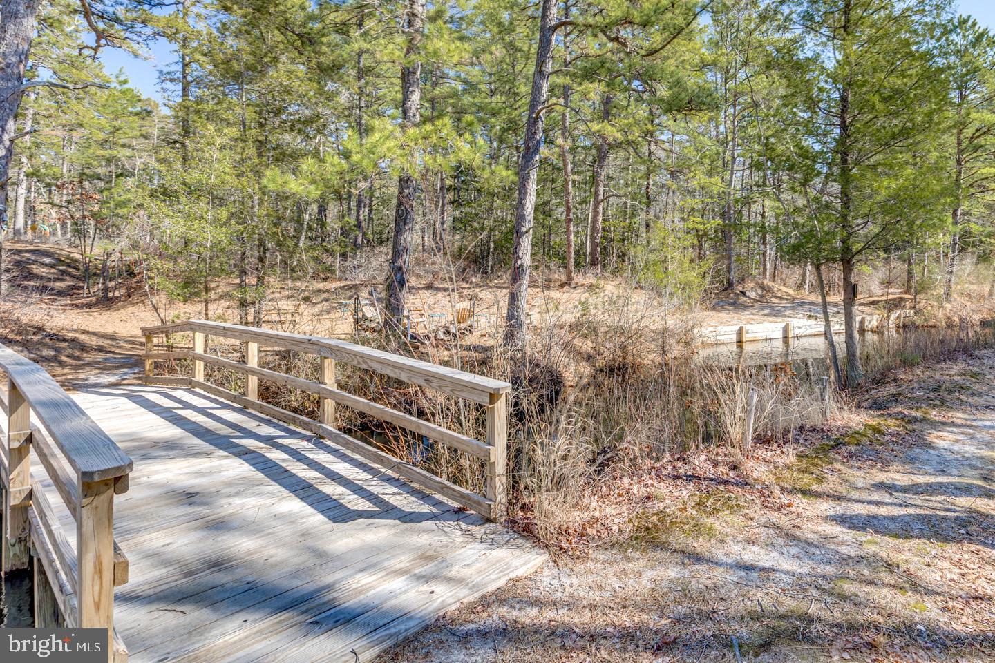 2100 South Firelane Road Southampton, NJ 08088 - Photo 10 of 75 Golf cart fits nicely over bridge!