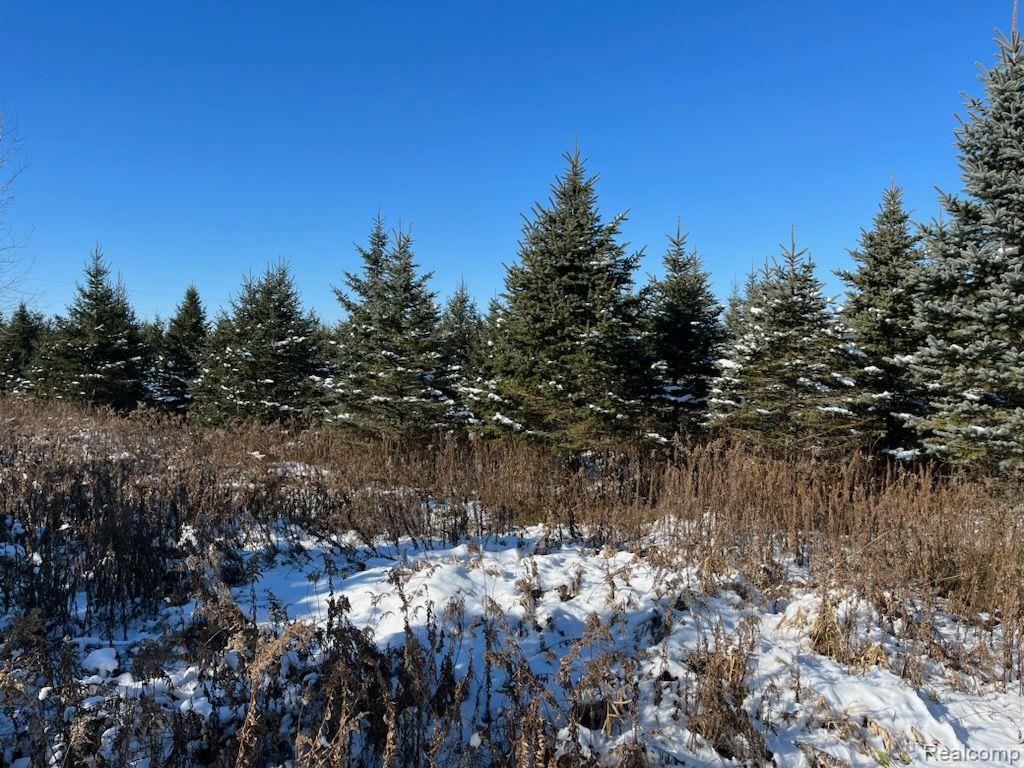20311 Waldo Road Chelsea, MI 48118 - Photo 20 of 27