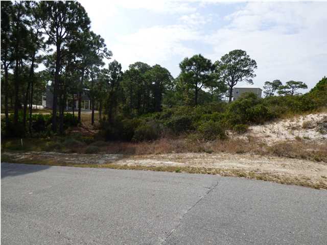 109 McCosh Mill Road Port St. Joe, FL 32456 - Photo 3 of 20 Gallery Image 3