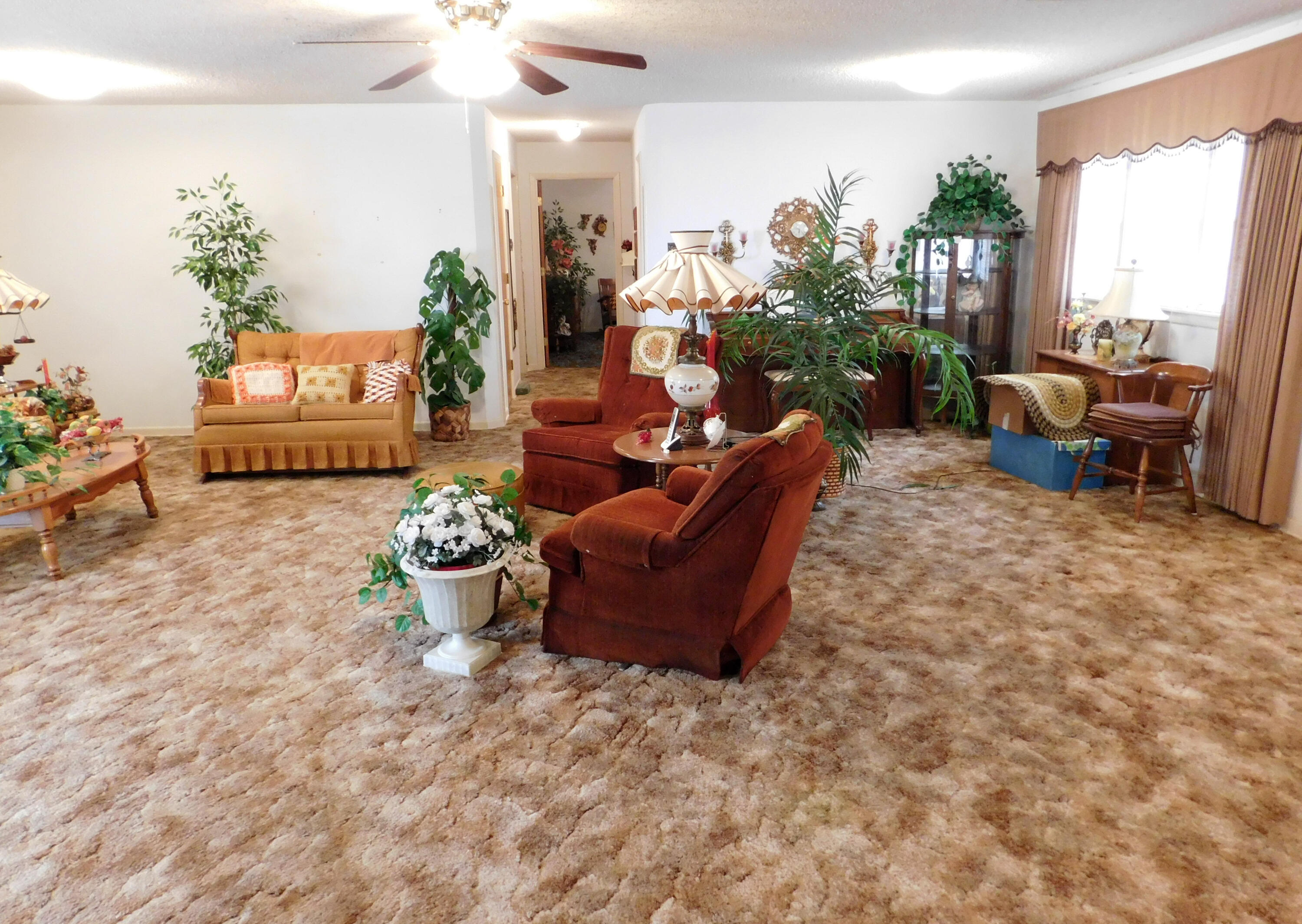 116 West 15th Street Muleshoe, TX 79347 - Photo 3 of 17 DSCN1196