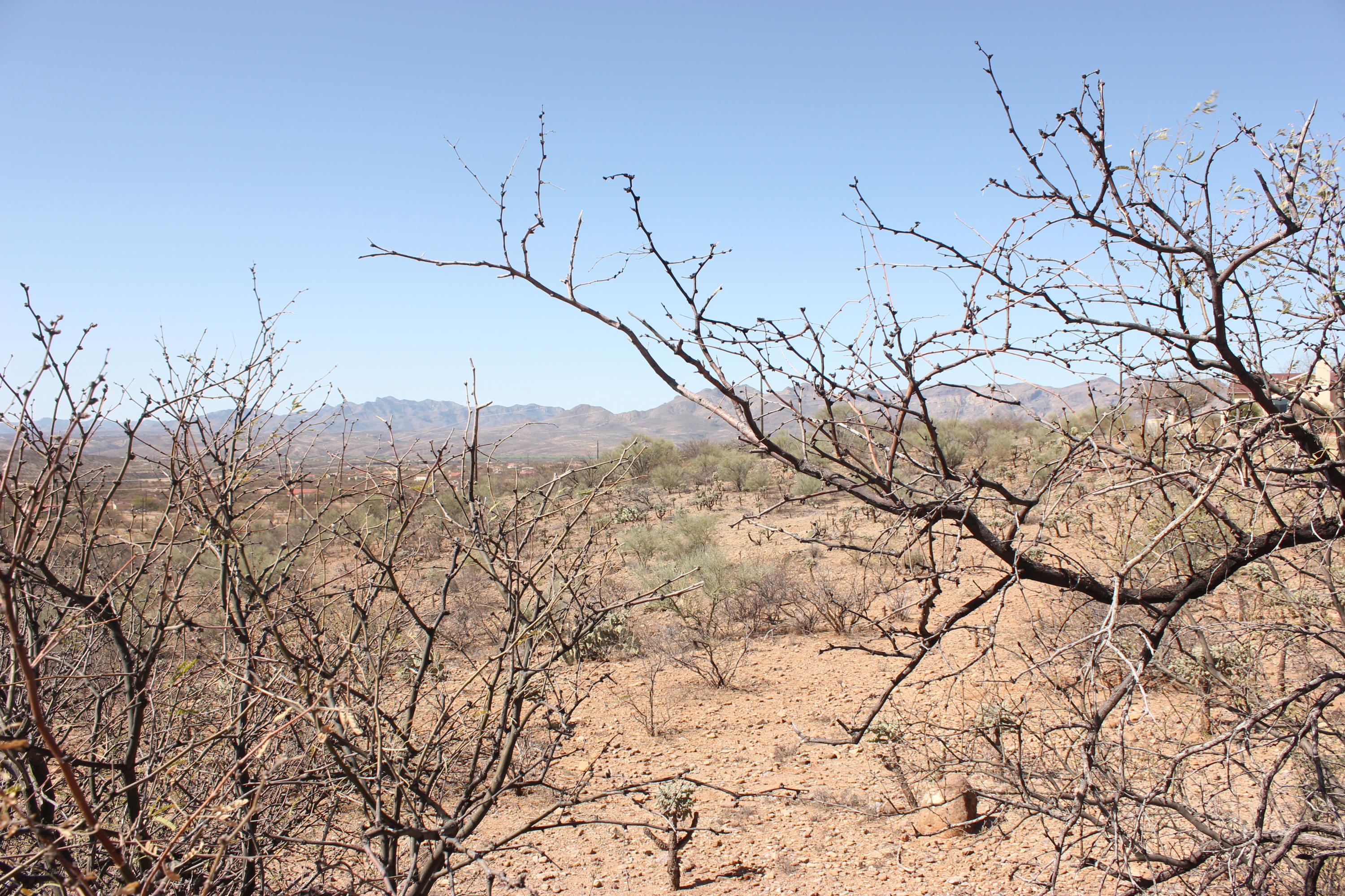 1882 Via Ochoa, Unit 7 Rio Rico, AZ 85648 - Photo 3 of 3