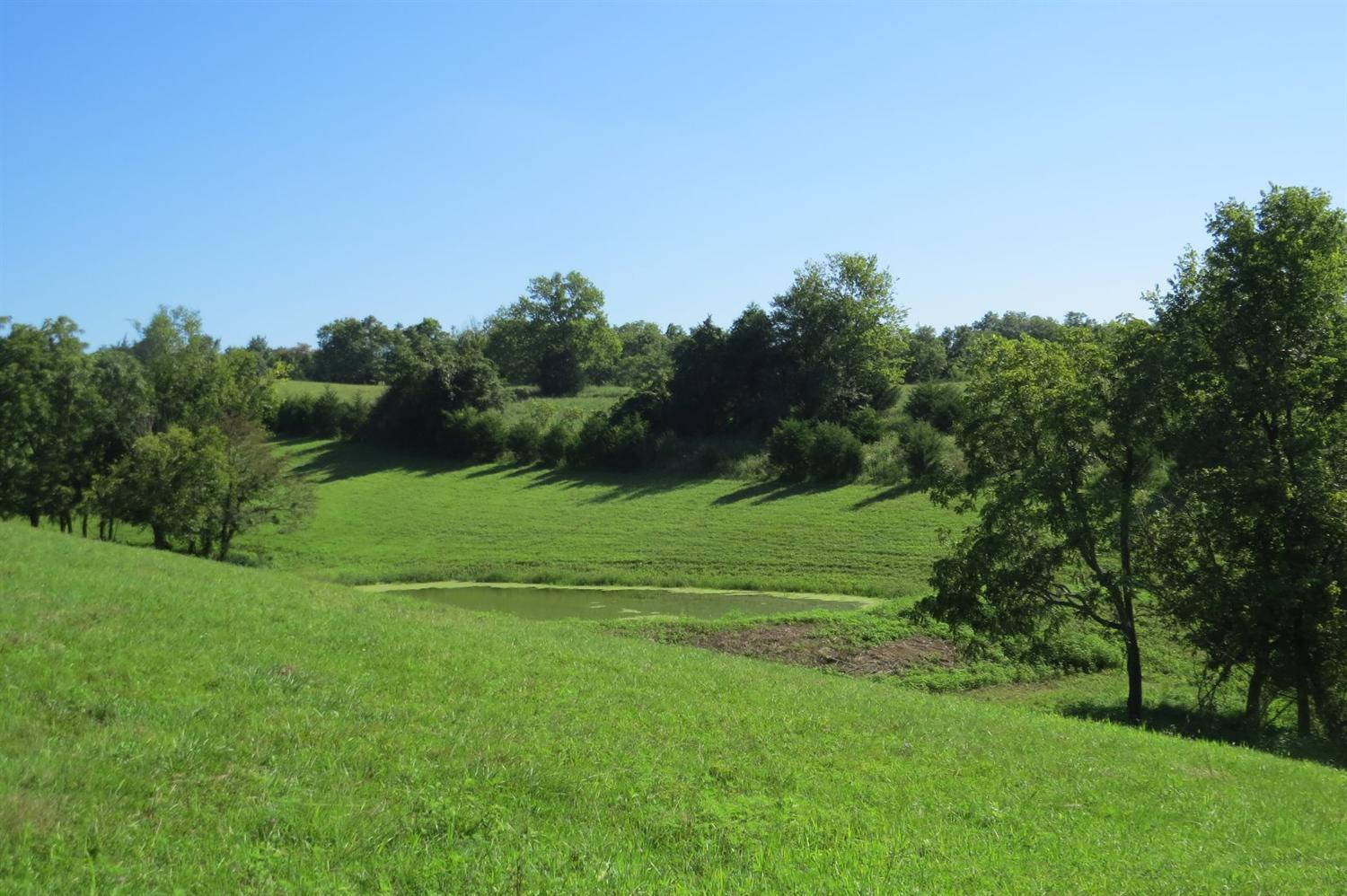 636 Ceder Road Owingsville, KY 40360 - Photo 1 of 22 Photo 1