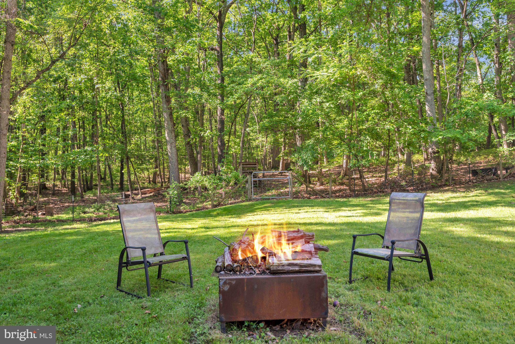 1353 Dicus Mill Road Severn, MD 21144 - Photo 53 of 78 Who has the S'mores?