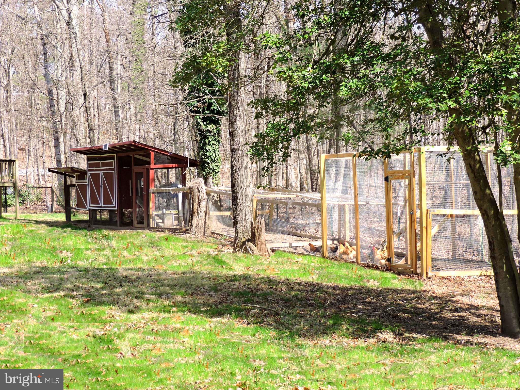 1353 Dicus Mill Road Severn, MD 21144 - Photo 55 of 78 Chicken Coop Run