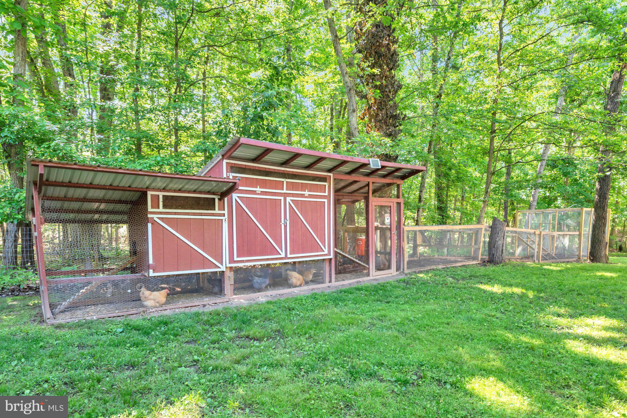 1353 Dicus Mill Road Severn, MD 21144 - Photo 56 of 78 These Chickens are living the good life!