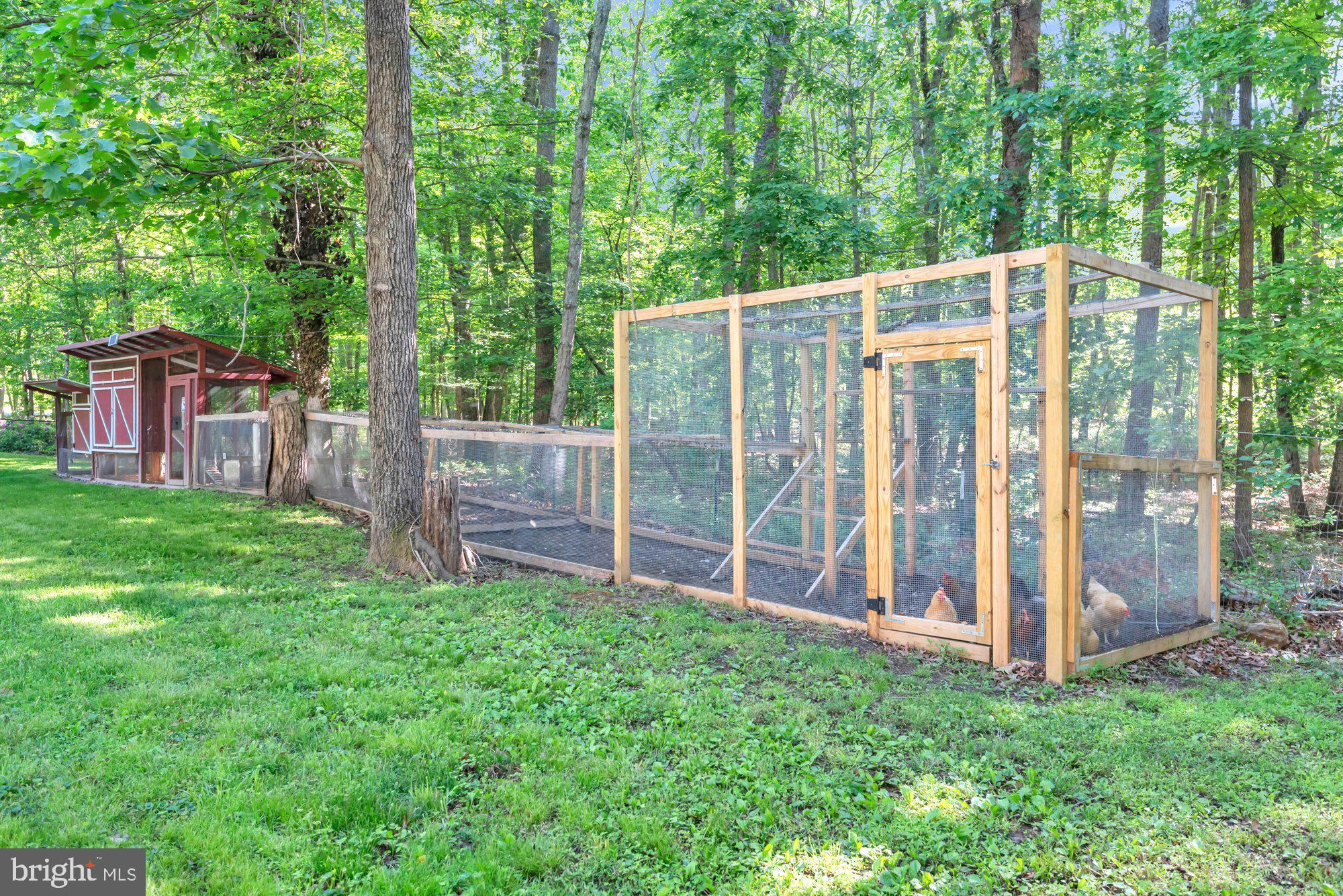 1353 Dicus Mill Road Severn, MD 21144 - Photo 58 of 78 These Chickens are living the good life!