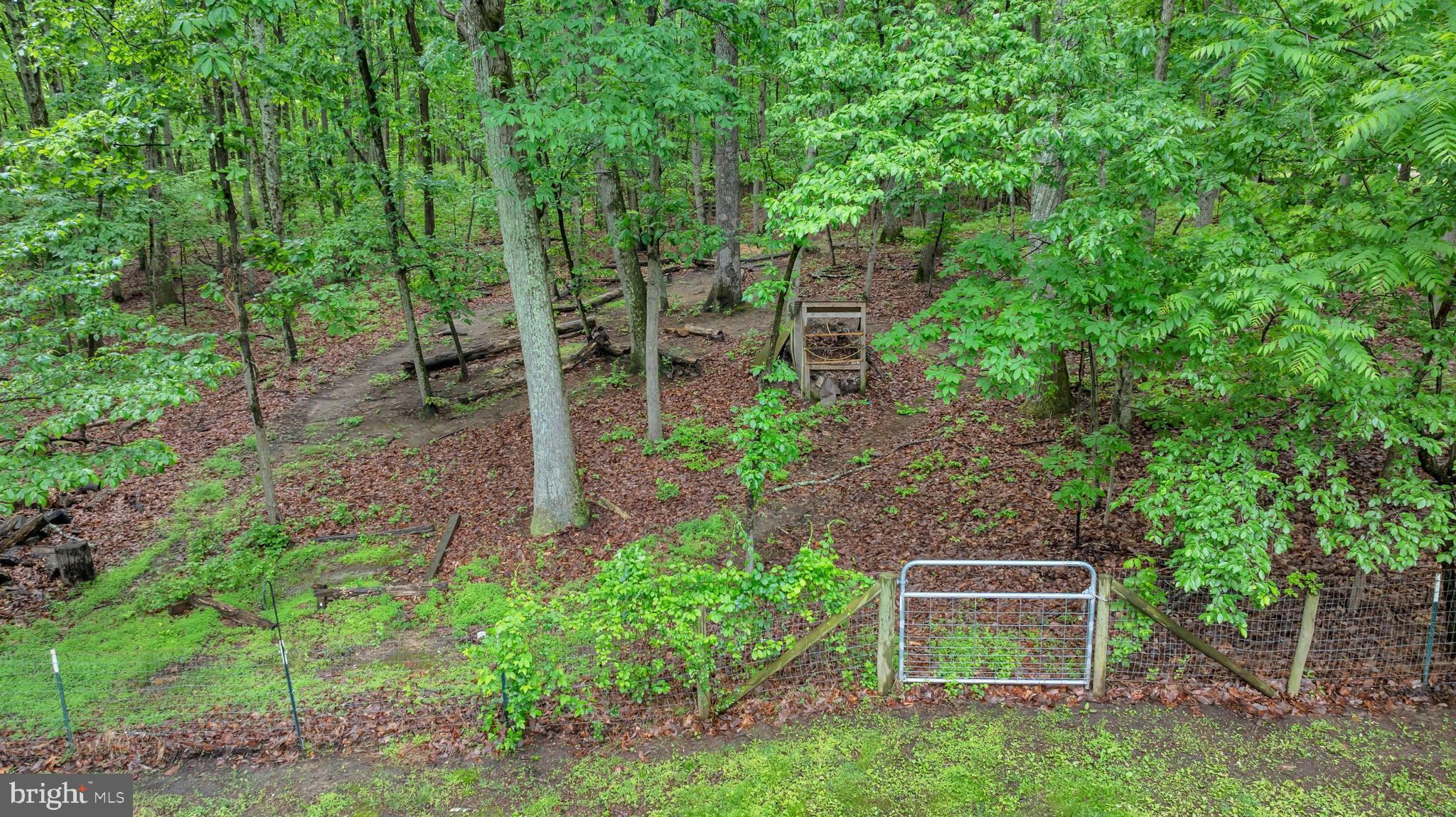 1353 Dicus Mill Road Severn, MD 21144 - Photo 59 of 78 Property extends well beyond fenced area