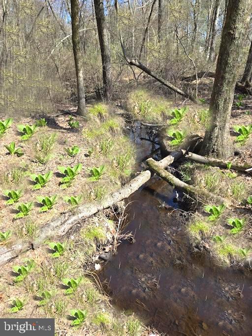 1353 Dicus Mill Road Severn, MD 21144 - Photo 64 of 78 Property goes all the way to Jabez Run