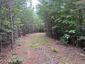 0 Caudle Road Pinnacle, NC 27043 - Photo 23 of 35
