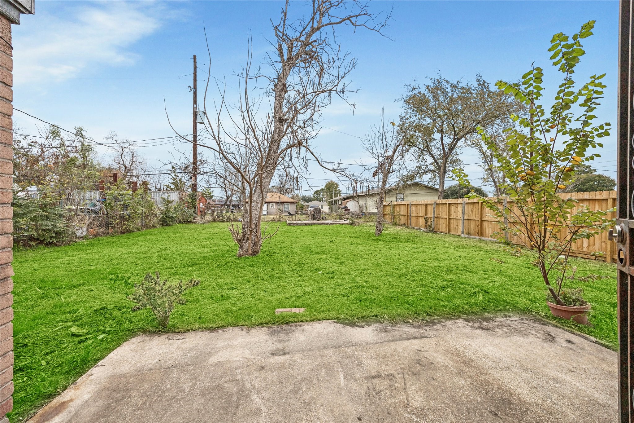 9910 Genard Road Houston, TX 77041 - Photo 14 of 15 a view of a garden with a tree