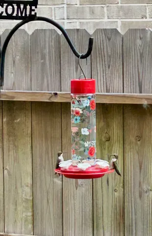 $569,900 | 914 Sendero Trail, Conroe, TX 77304