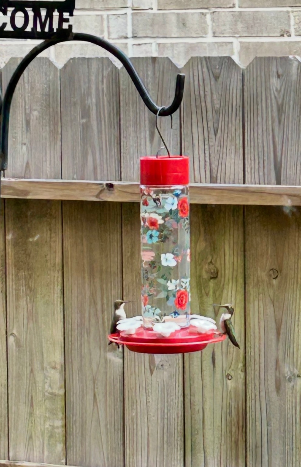 914 Sendero Trail Conroe, TX 77304 - Photo 43 of 47 Nature abounds! Homeowners enjoy watching hummingbirds frequent outside the office window.