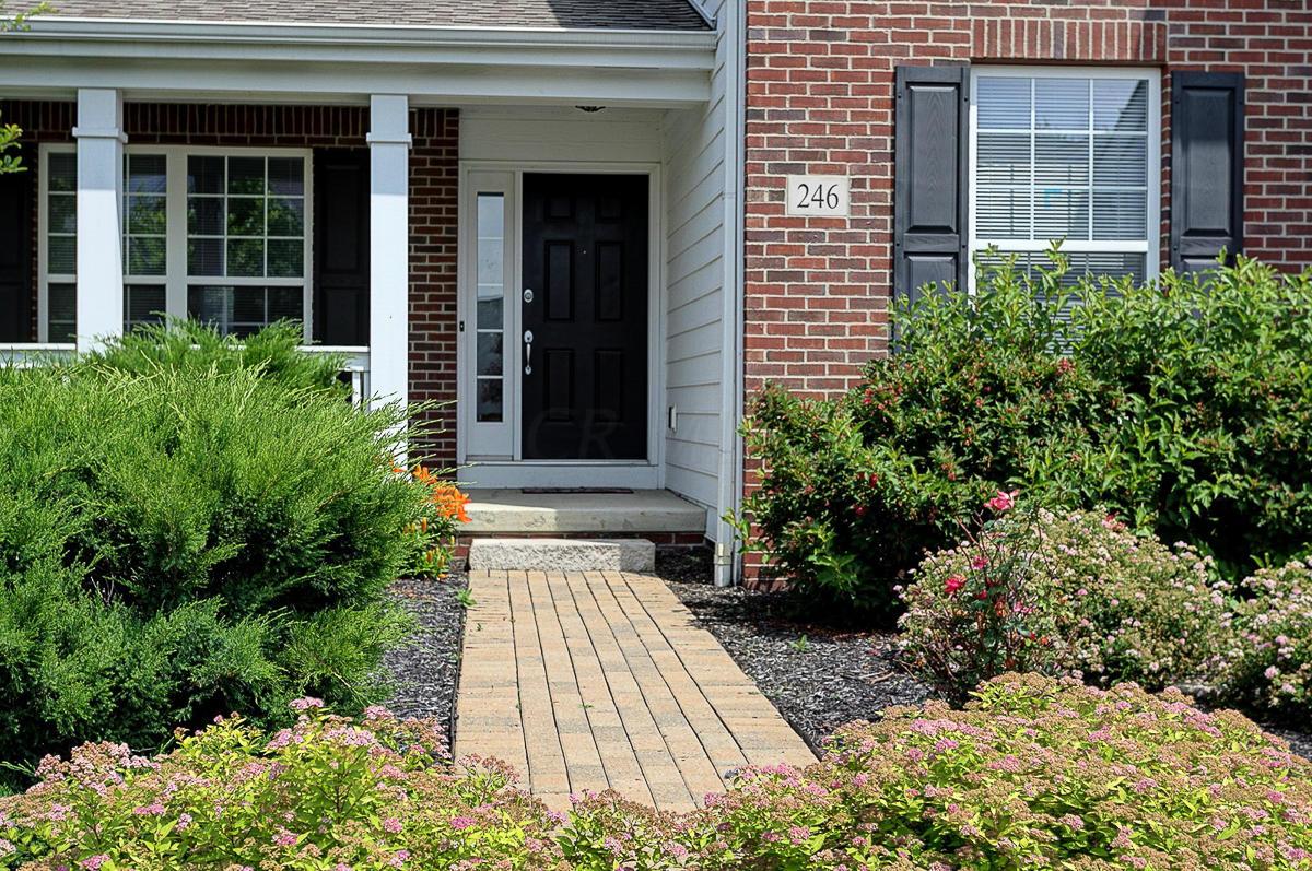 246 Smokewood Road Powell, OH 43065 - Photo 2 of 25 Gallery Image 2