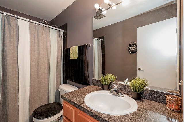 6017 Forest View Road, Unit 2C Lisle, IL 60532 - Photo 8 of 10 a bathroom with a sink a toilet and shower