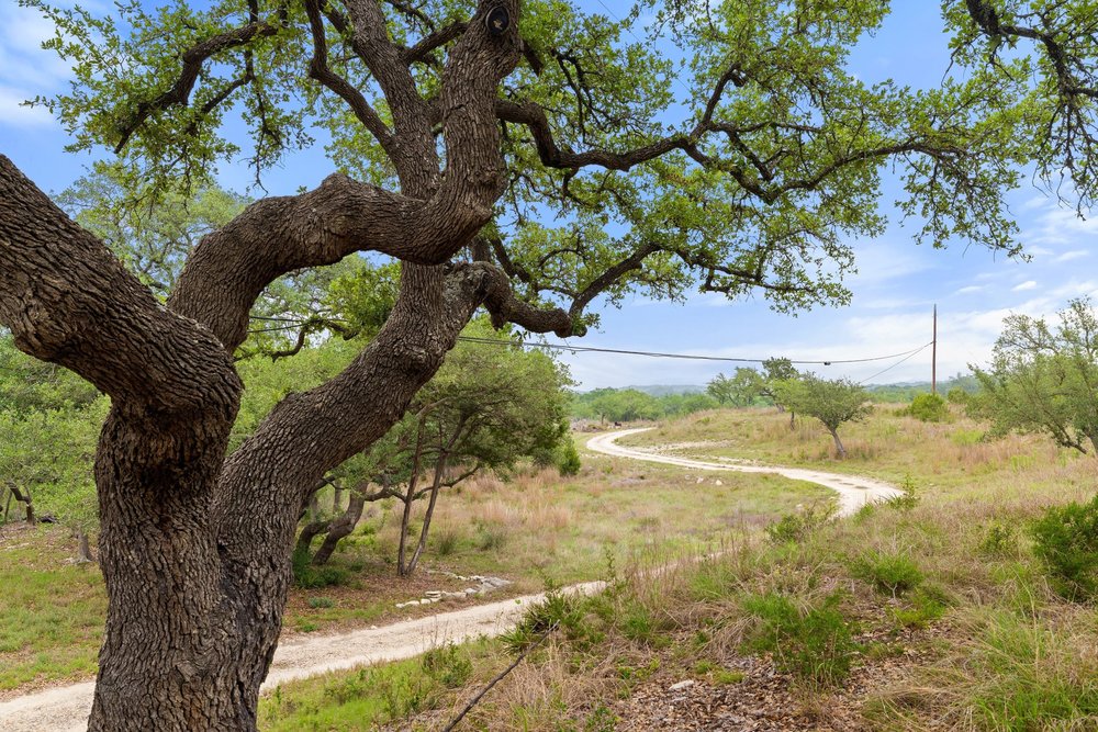 1850 Pursley Road Dripping Springs, TX 78620 - Photo 3 of 32 Drive In