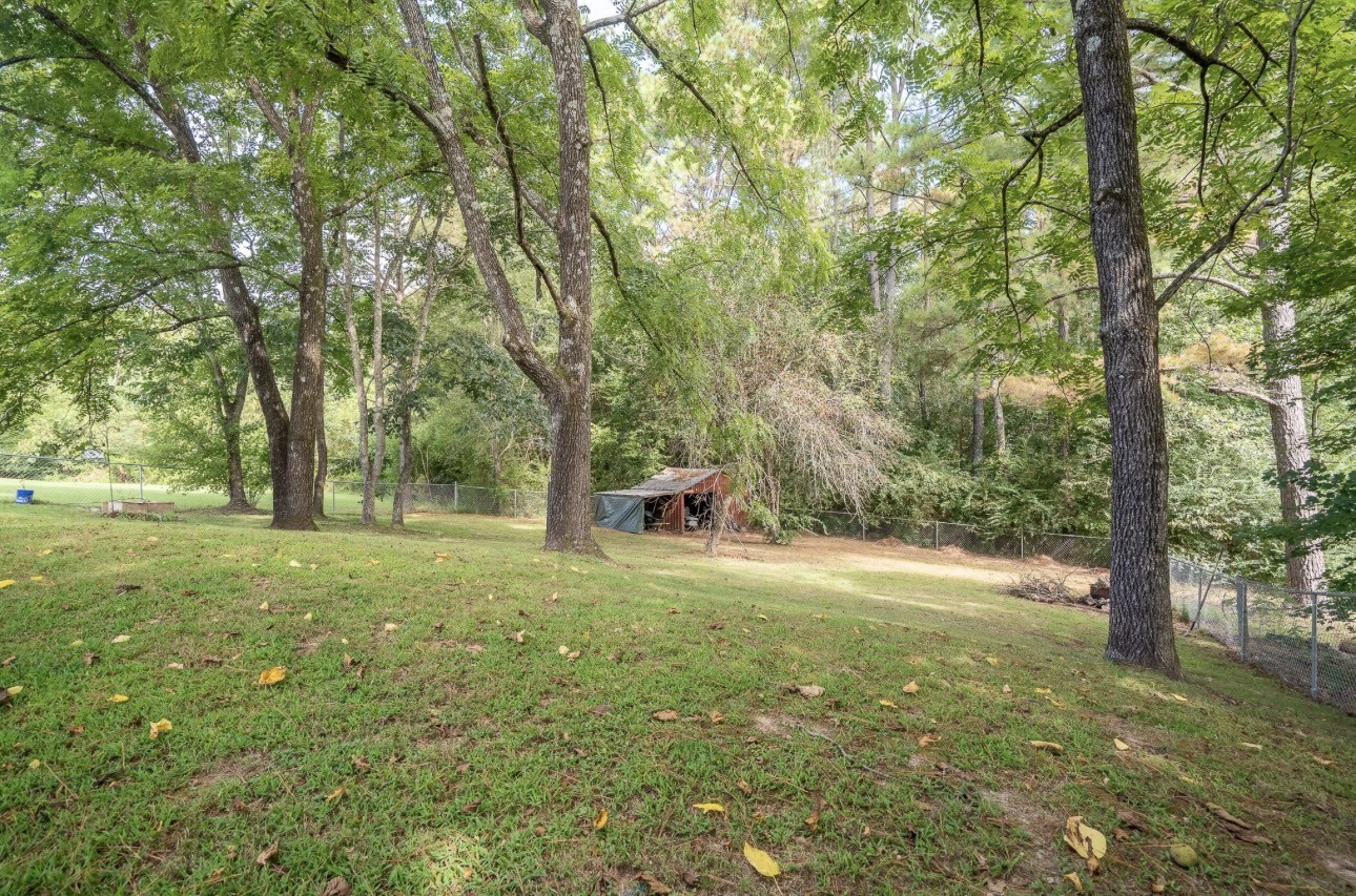 652 Old Florence Pulaski Road Leoma, TN 38468 - Photo 7 of 35 a backyard of a house with a trees