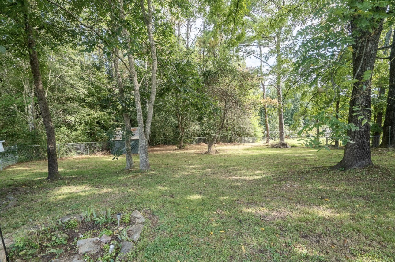 652 Old Florence Pulaski Road Leoma, TN 38468 - Photo 8 of 35 a view of a yard with a tree