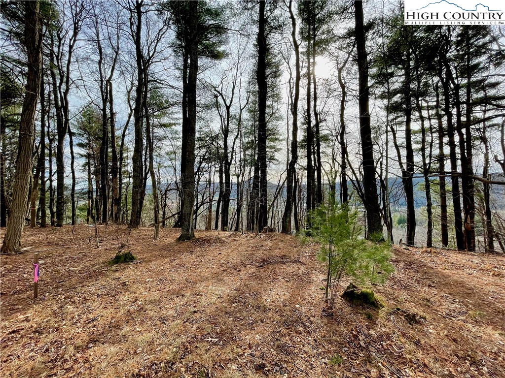 Suncrest Way Boone, NC 28607 - Photo 1 of 12 a view of backyard and trees