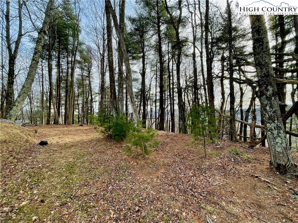 Suncrest Way Boone, NC 28607 - Photo 12 of 12 a backyard of a house with lots of green space