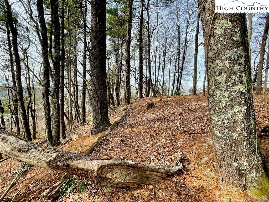 Suncrest Way Boone, NC 28607 - Photo 2 of 12 a view of a backyard of the house