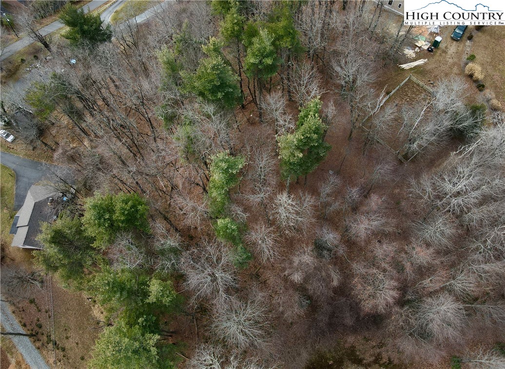 Suncrest Way Boone, NC 28607 - Photo 3 of 12 a view of a forest with trees