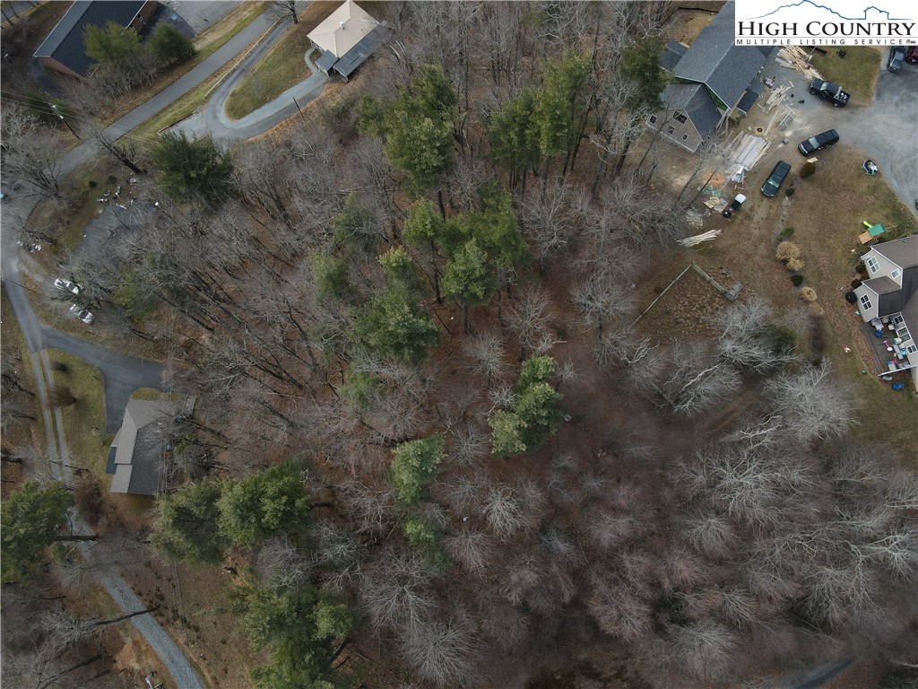 Suncrest Way Boone, NC 28607 - Photo 9 of 12 a view of a yard in a forest