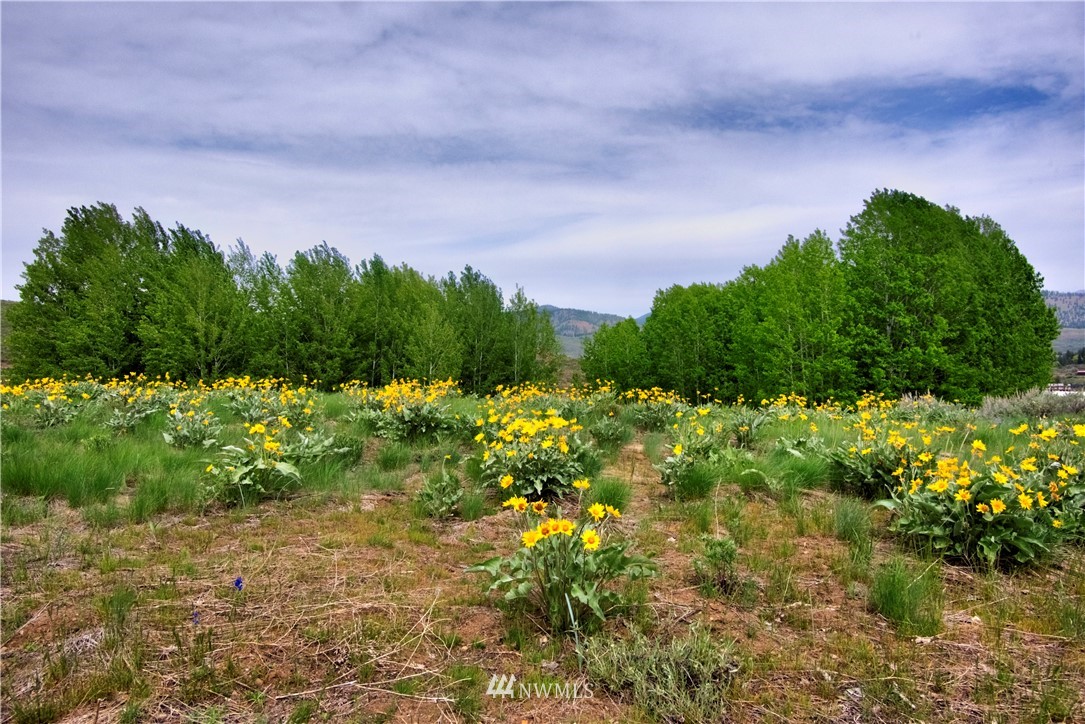 31 Rendezvous Road Winthrop, WA 98862 - Photo 36 of 40 Gallery Image 36