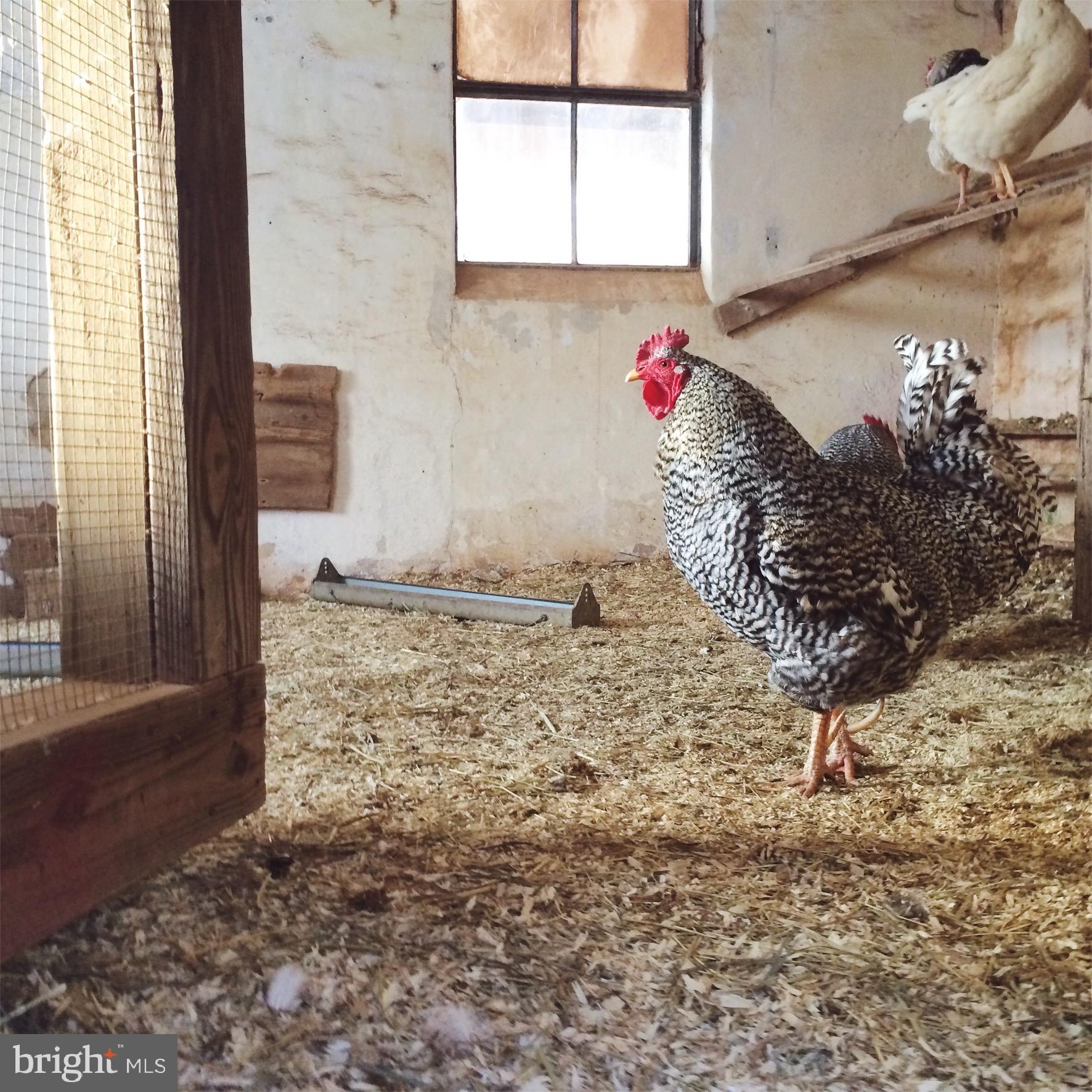 1906 Freeland Road Freeland, MD 21053 - Photo 15 of 99