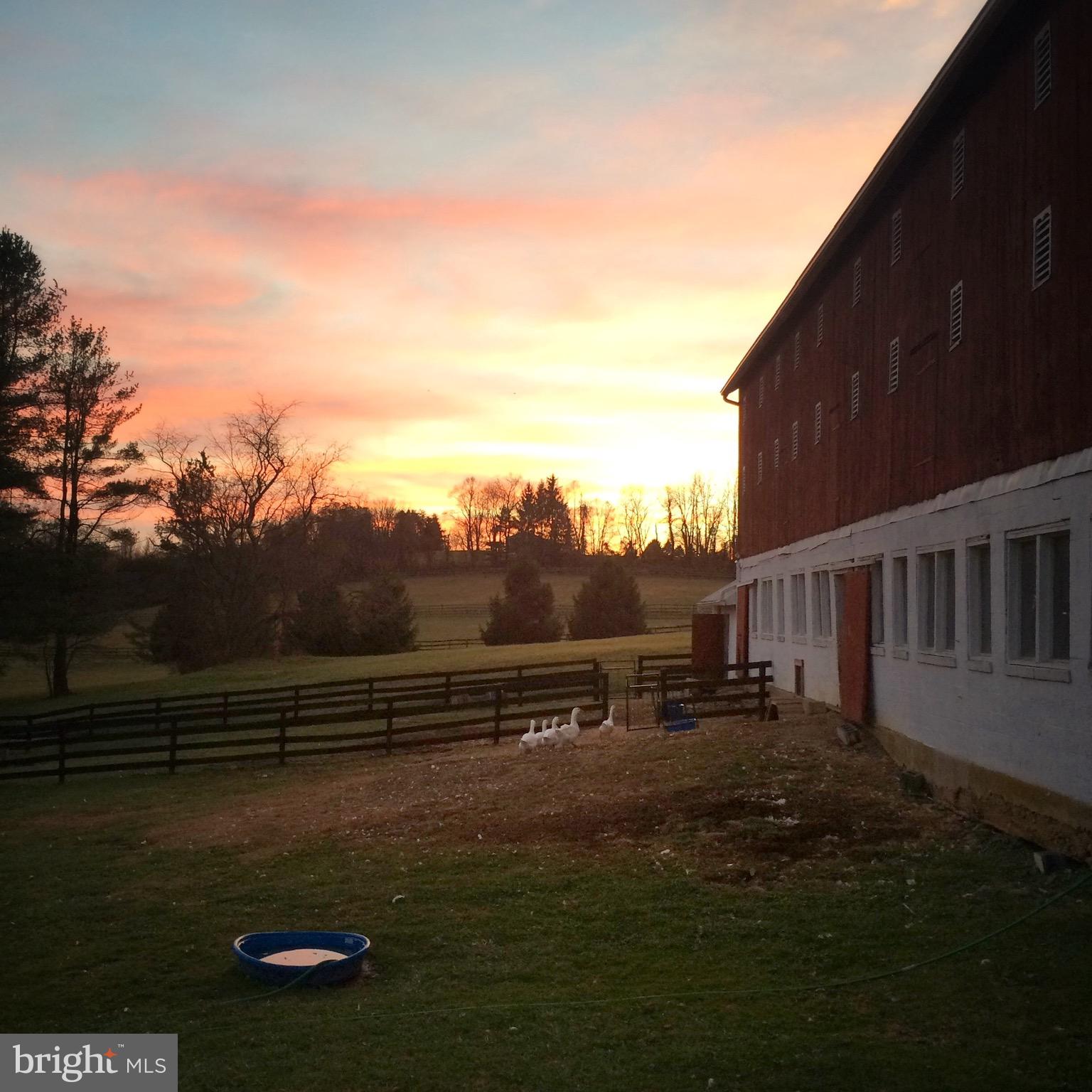 1906 Freeland Road Freeland, MD 21053 - Photo 67 of 99 Sizeable paddock with water and electric
