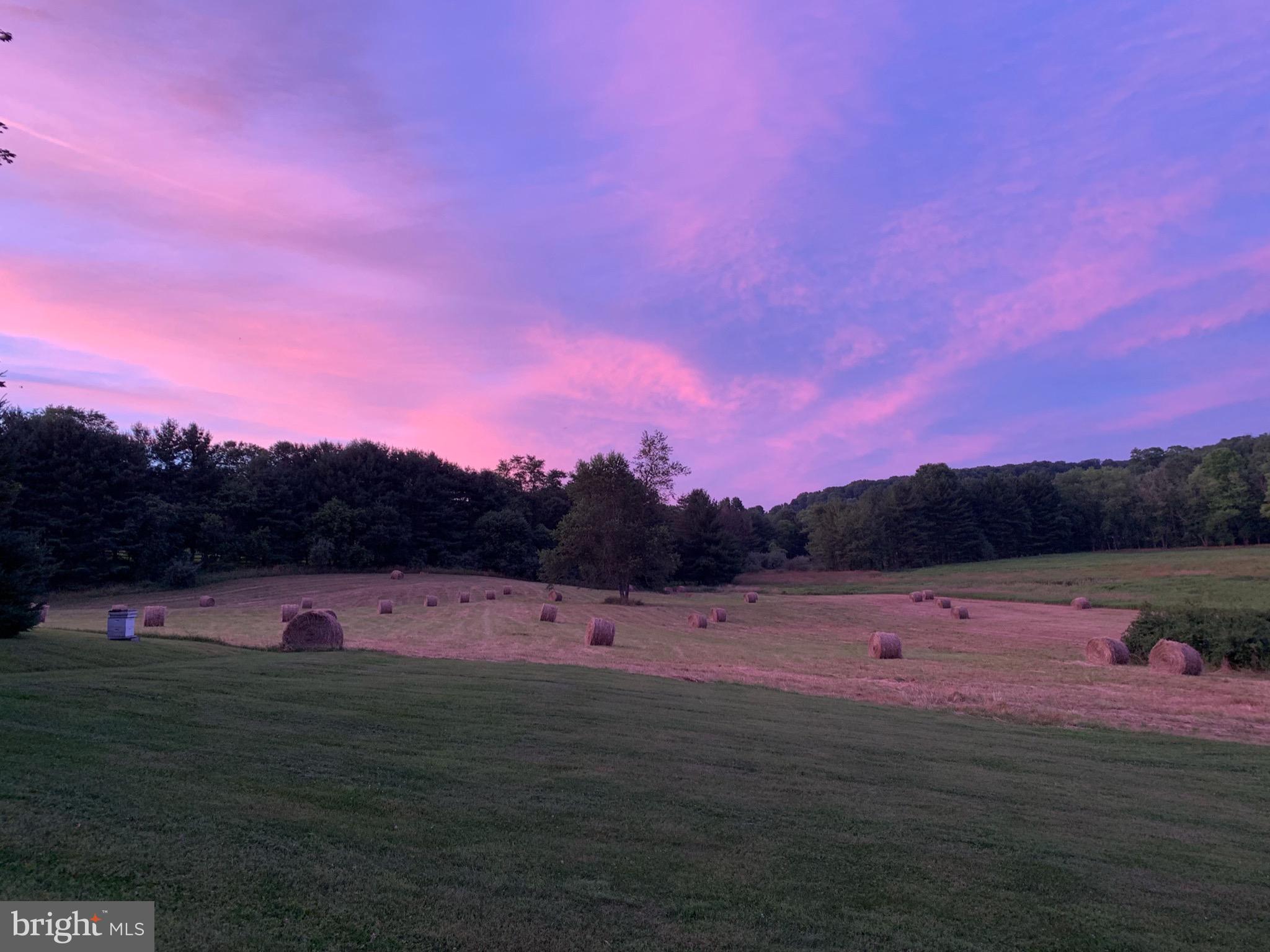 1906 Freeland Road Freeland, MD 21053 - Photo 82 of 99 Beautiful hayfield vistas