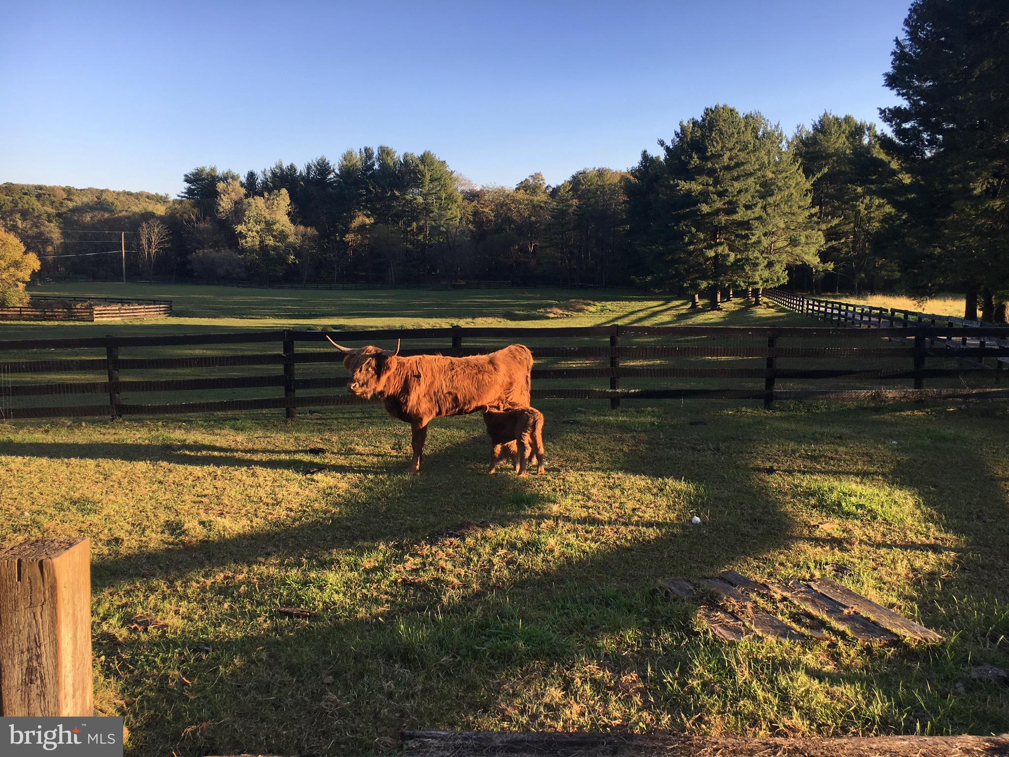 1906 Freeland Road Freeland, MD 21053 - Photo 99 of 99 Nearly 20 fenced acres