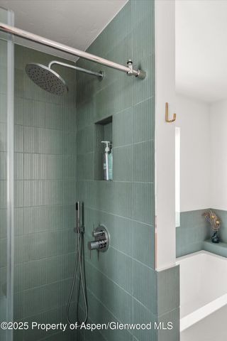 a bathroom with a bathtub and a shower